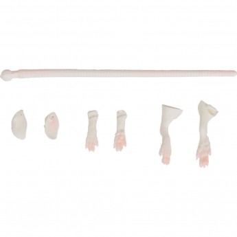 Набор для ремонта приманки крысы SAVAGE GEAR LB 3D Rad Maintenance 30 03-White